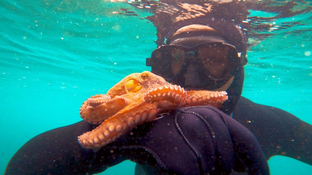 Submarinismo